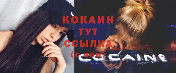 гашик Верея