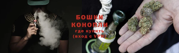 гашик Верея