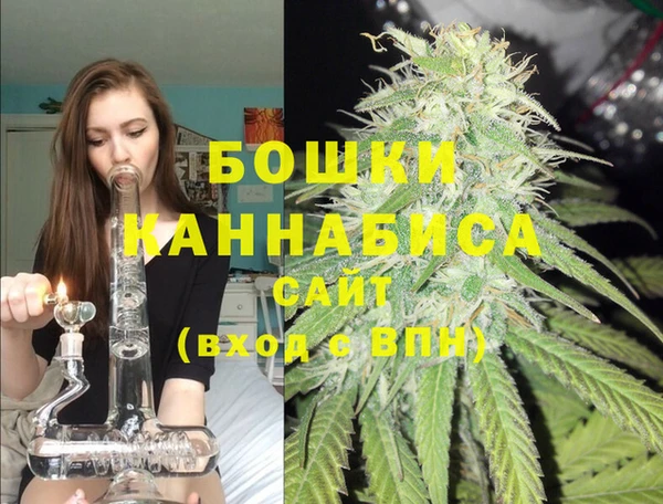 гашик Верея