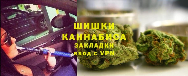 гашик Верея