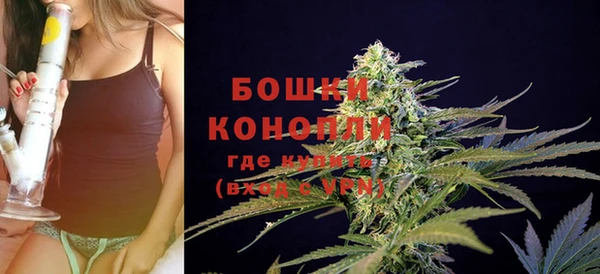 гашик Верея