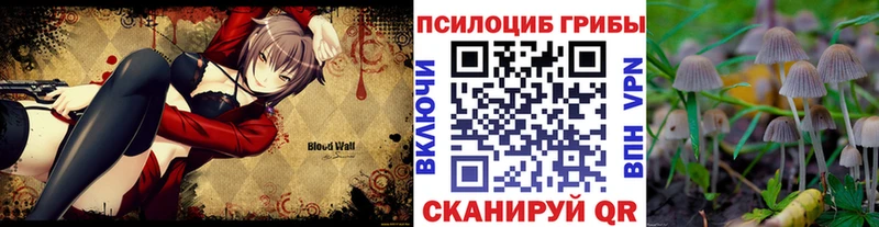 Псилоцибиновые грибы Psilocybe  Купить  Лакинск 